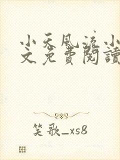 小天风流小说全文免费阅读无弹窗