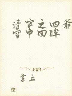 清穿之四爷宠妃雪中回眸