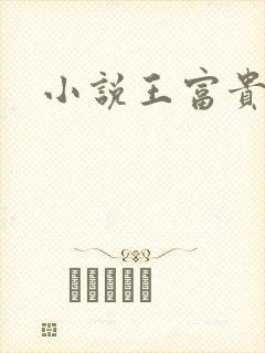 小说王富贵陈芸