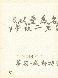 《以爱为名》by梦筱二免费阅读