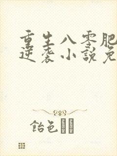 重生八零肥妻要逆袭小说免费阅读下载完整版