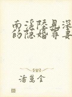 南溪陆见深陆少的隐婚罪妻