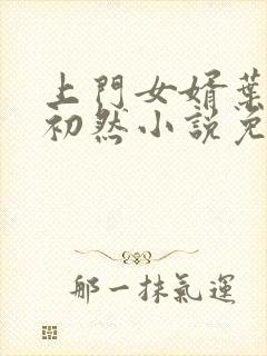 上门女婿叶辰萧初然小说免费