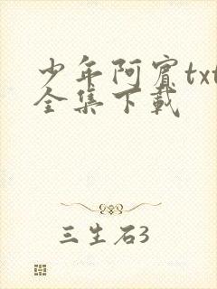 少年阿宾txt全集下载