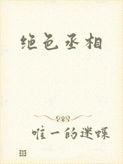 绝色丞相