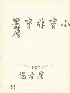 墨宝非宝小说推荐