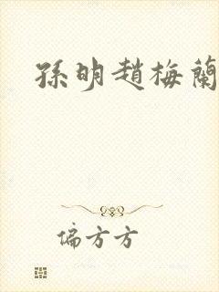孙明赵梅兰小说