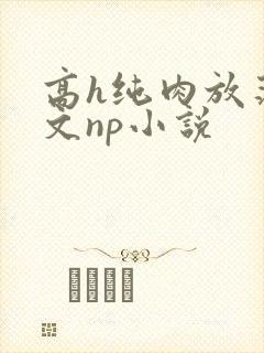 高h纯肉放荡h文np小说封面