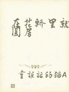 在花轿里就开始圆房