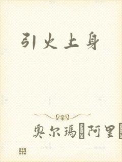引火上身封面