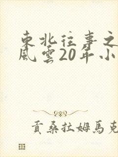 东北往事之黑道风云20年小说
