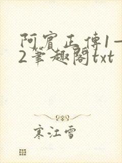 阿宾正传1—72笔趣阁txt