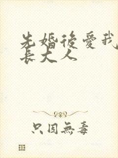 先婚后爱我的市长大人