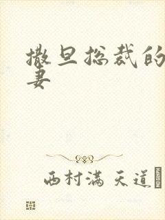撒旦总裁的下堂妻封面