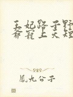 王妃路子野,王爷宠上天短剧