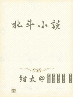 北斗小说