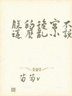 朕的后宫不可能这么乱小说