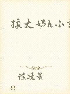 揉大奶h小说