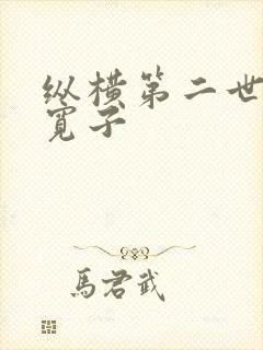 纵横第二世界 宽子