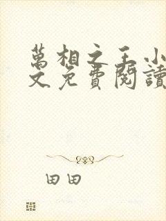 万相之王小说全文免费阅读全文封面