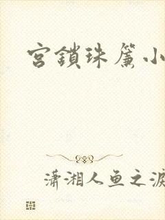 宫锁珠帘小说