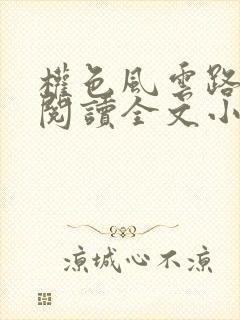 权色风云路免费阅读全文小说封面