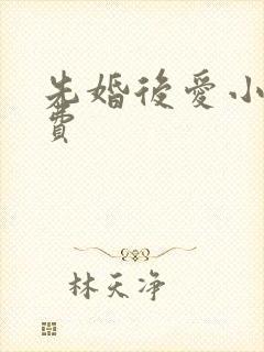 先婚后爱小说免费封面