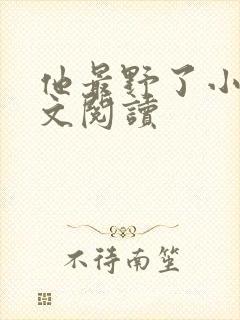 他最野了小说全文阅读封面