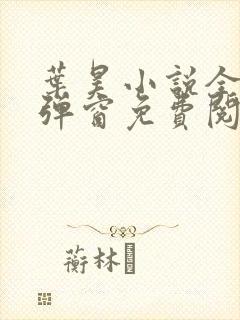 叶昊小说全文无弹窗免费阅读封面