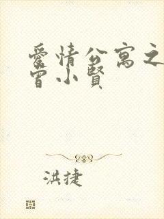爱情公寓之极品曾小贤