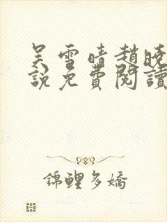 吴雪晴赵晓东小说免费阅读