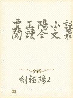 贾正阳小说免费阅读全文最新章节
