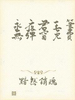 永夜君王笔趣阁无弹窗免费封面
