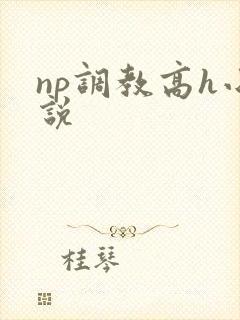 np调教高h小说