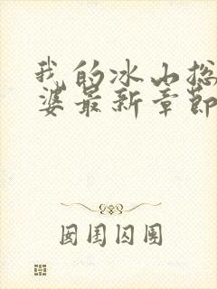 我的冰山总裁老婆最新章节阅读