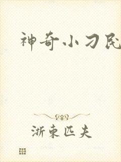 神奇小刁民