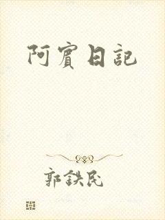 阿宾日记封面