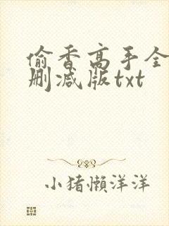 偷香高手全文无删减版txt