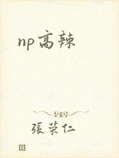 np高辣封面