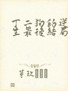 丁二狗的逆袭人生最后结局