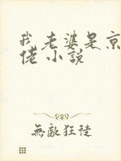 我老婆是京圈大佬 小说