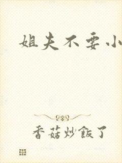 姐夫不要小说
