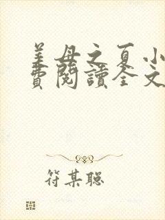 美母之夏小说免费阅读全文最新章节封面