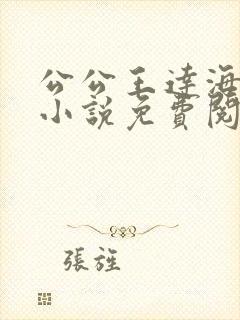 公公王达海芷晴小说免费阅读正版