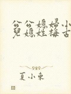 公公媳妇小说 儿媳姓梅古言免费阅读全文