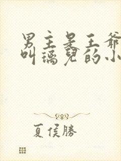 男主是王爷女主叫璃儿的小说