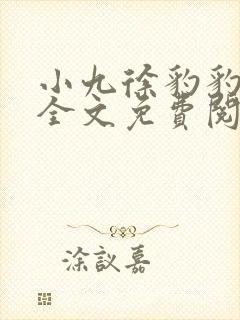 小九徐豹豹小说全文免费阅读封面