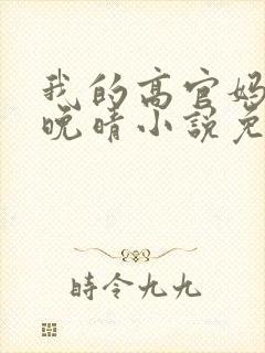 我的高官妈妈苏晚晴小说免费阅读
