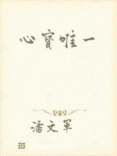 心宝唯一