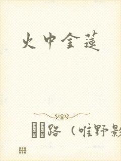 火中金莲封面